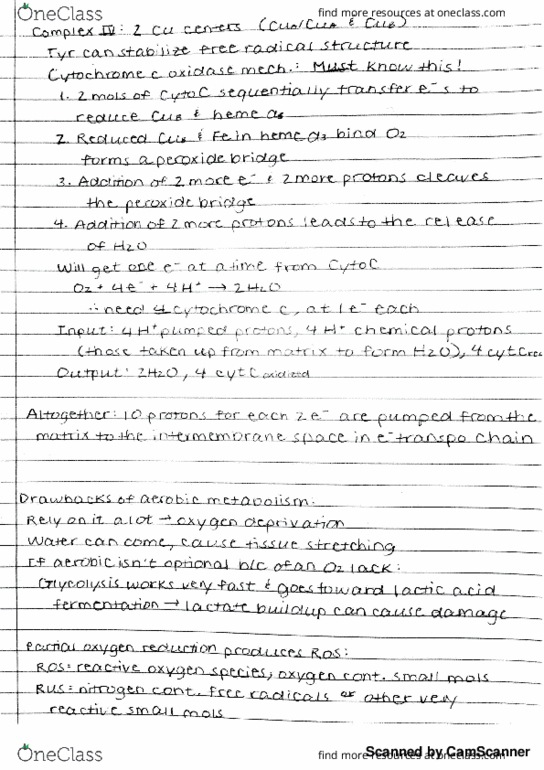 BIOCHM 383 Lecture Notes - Lecture 70: Horse Length thumbnail