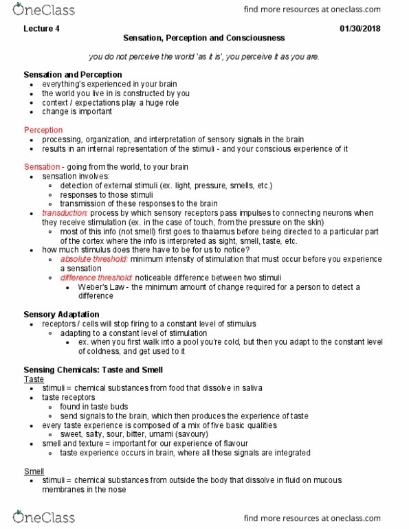 PSY100H1 Lecture Notes - Lecture 4: Soltyrei, Binocular Disparity, Visual Cortex thumbnail