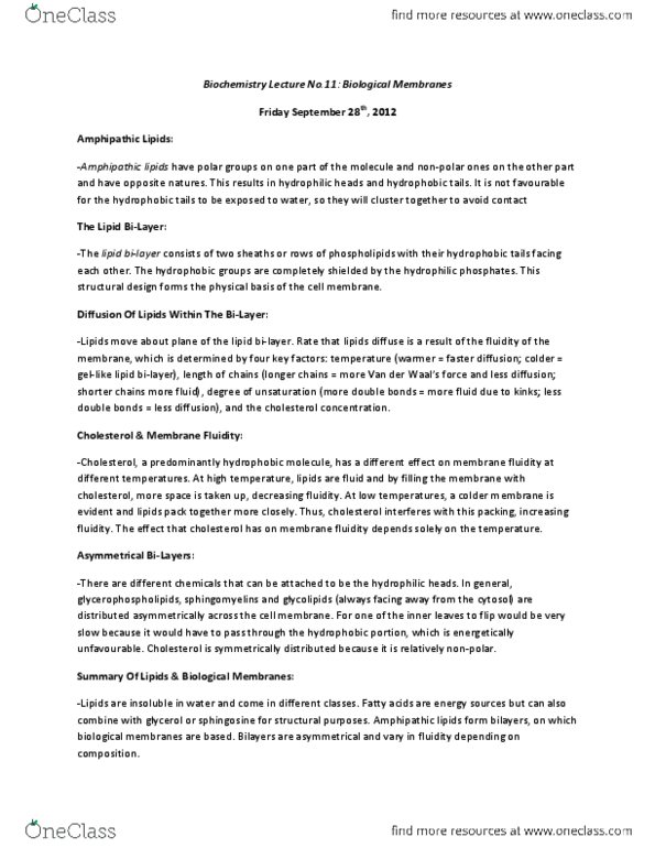 Biochemistry 2280A Lecture Notes - Lecture 11: Glycolipid, Phospholipid, Glycerophospholipid thumbnail