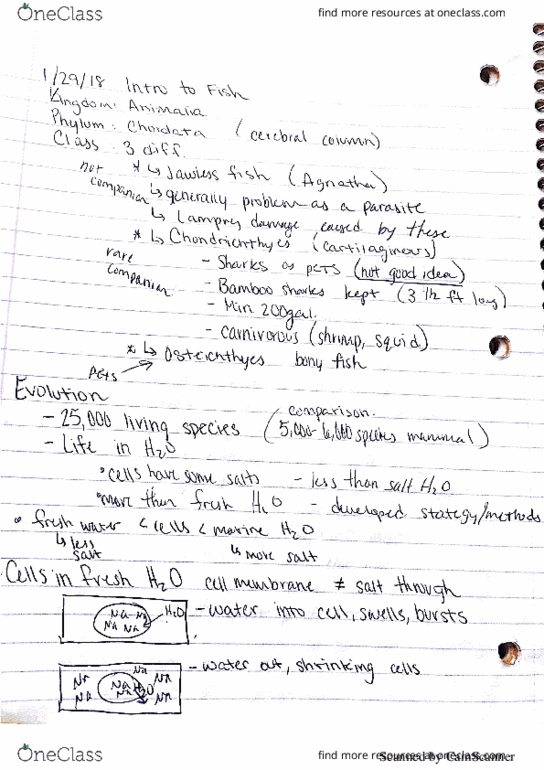 AN SCI 200 Lecture 3: 1.29 Lecture thumbnail