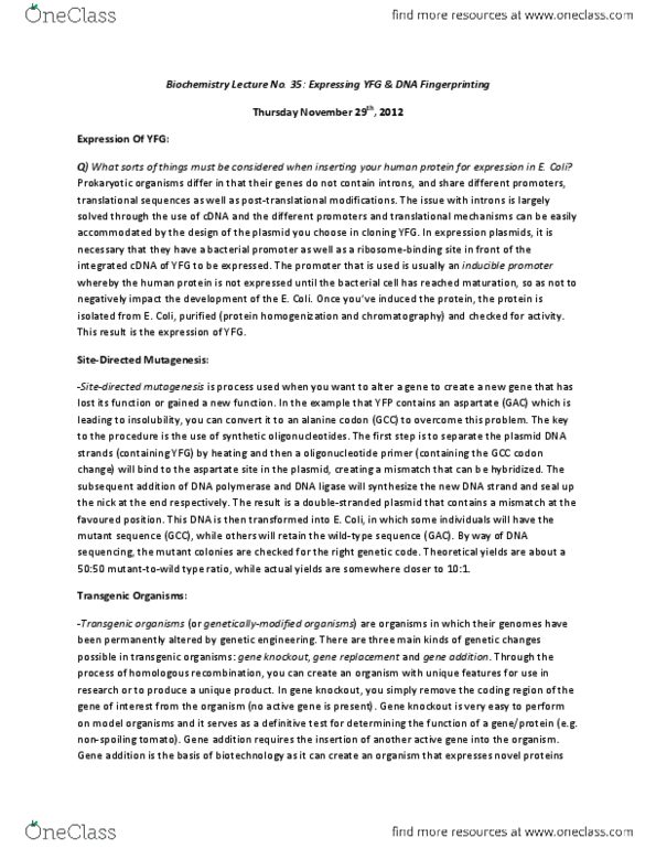 Biochemistry 2280A Lecture Notes - Gene Knockout, Agarose Gel Electrophoresis, Plasmid thumbnail