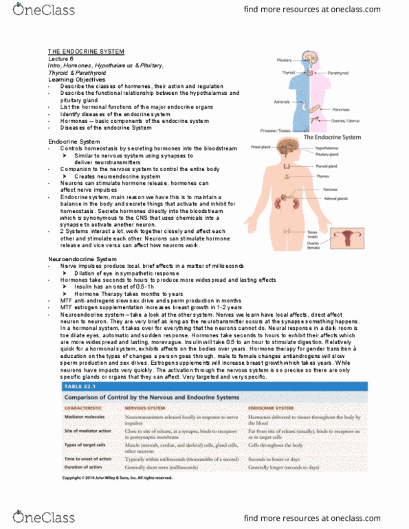 Kinesiology 3222A/B Lecture Notes - Lecture 6: Sexual Dysfunction, Weight Loss, Vocal Folds thumbnail