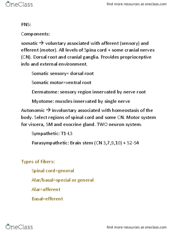 ACB 334 Lecture Notes - Lecture 3: Mastication, Muscle Spindle, Neural Crest thumbnail