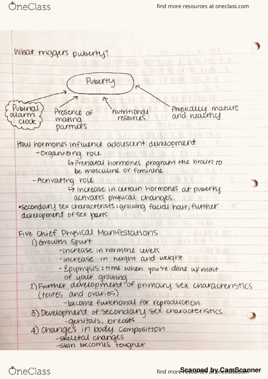 ED PSYCH 321 Lecture Notes - Lecture 4: Nori thumbnail