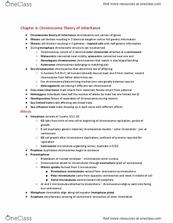 CAS BI 206 Chapter Notes - Chapter 4: Spermatogenesis, Spermatogonium, Ovulation thumbnail