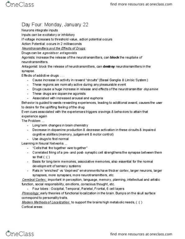 PSY 201 Lecture Notes - Lecture 4: Brainstem, Primary Sensory Areas, Basal Ganglia thumbnail