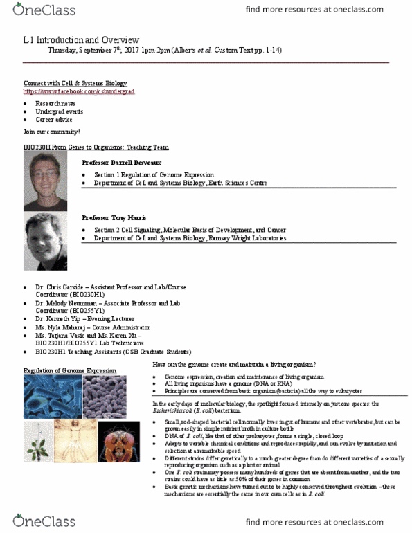 BIO230H1 Lecture Notes - Lecture 1: Live Cell Imaging, Drosophila Melanogaster, Nuclear Membrane thumbnail