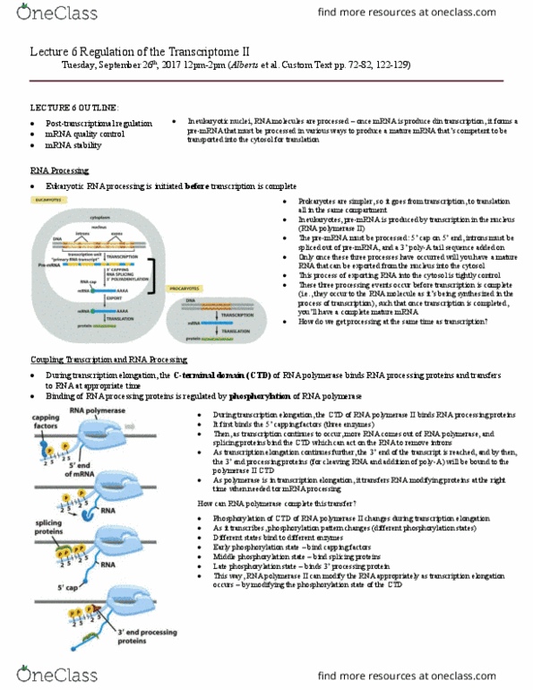 BIO230H1 Lecture Notes - Lecture 6: Archaea, Veterinary Virology, Histone Methylation thumbnail