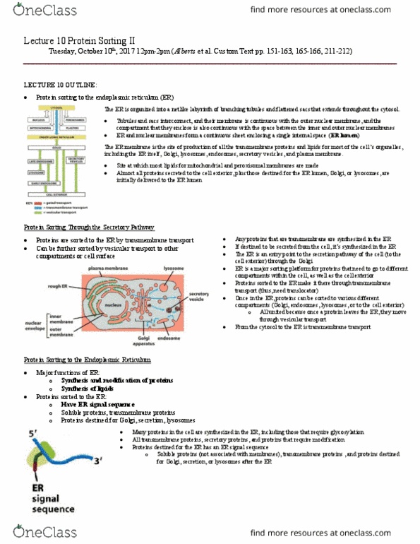 BIO230H1 Lecture Notes - Lecture 10: Ribosome, Polysome, Cytosol thumbnail