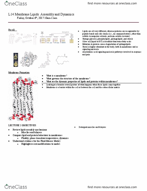 BCH210H1 Lecture Notes - Lecture 14: Phospholipid Scramblase, Lysis, Olive Oil thumbnail