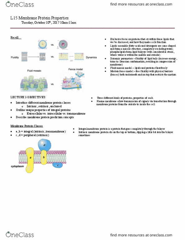 BCH210H1 Lecture Notes - Lecture 15: Peripheral Membrane Protein, Fluid Mosaic Model, Hydrophobicity Scales thumbnail