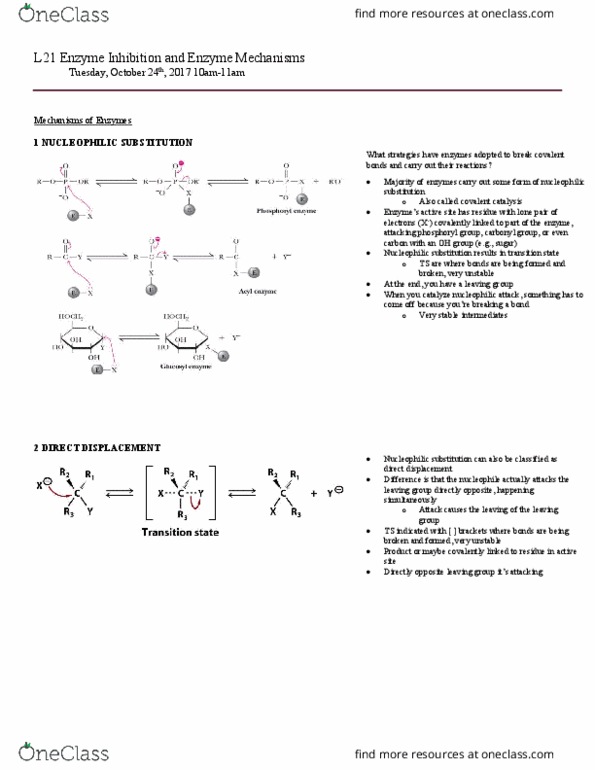 BCH210H1 Lecture Notes - Lecture 21: Chymotrypsinogen, Enzyme Catalysis, Oxidoreductase thumbnail