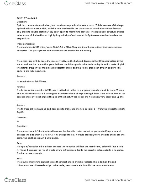 BCH210H1 Lecture Notes - Lecture 1: Oxidoreductase, Hydrolase, Membrane Transport Protein thumbnail