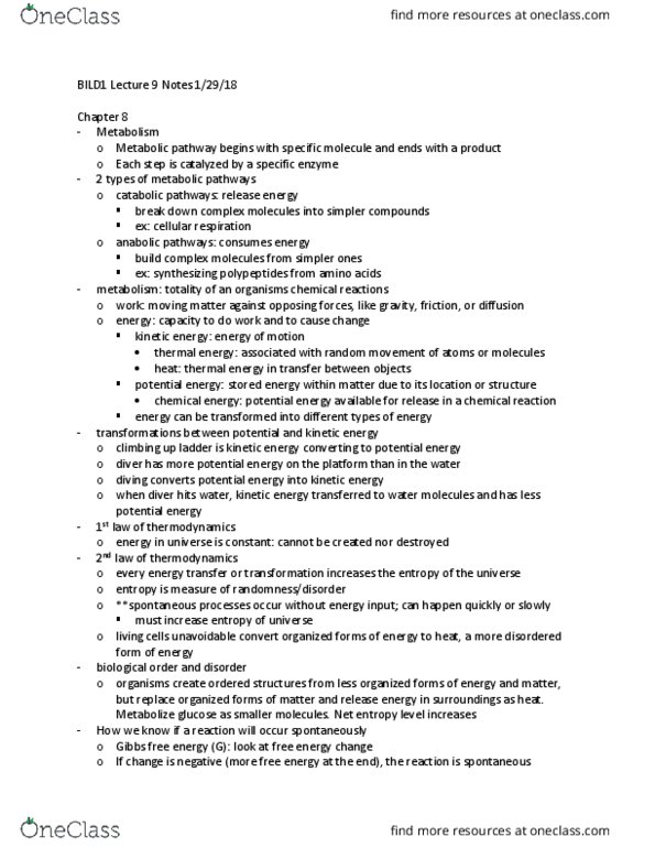 BILD 1 Lecture Notes - Lecture 9: Catabolism, Cellular Respiration, Metabolic Pathway thumbnail