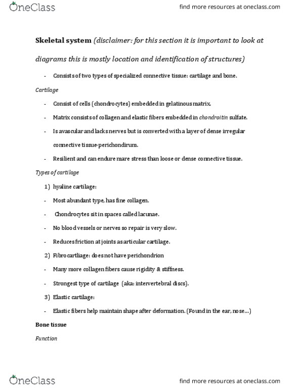 ANAT 1010 Lecture Notes - Lecture 5: Bone Marrow, Chondroitin Sulfate, Hyaline Cartilage thumbnail