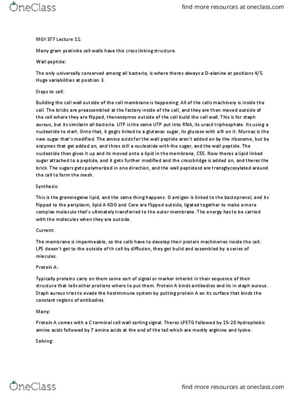 MGY377H1 Lecture Notes - Lecture 11: Aureus, Protein Targeting, Membrane Protein thumbnail