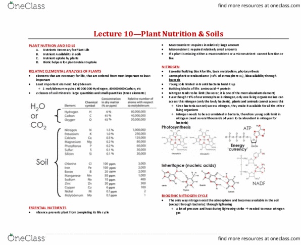 BIOA02H3 Lecture Notes - Lecture 10: Nitrogen Fixation, Micronutrient, Nutrient thumbnail