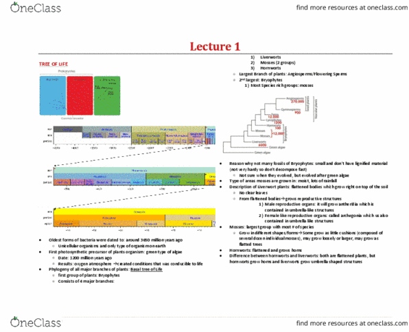 BIOA02H3 Lecture 1: BIOA02 Lecture 1 - Tree of Life (follows in-class slides) thumbnail