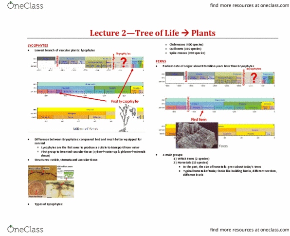 BIOA02H3 Lecture Notes - Lecture 2: Prothallium, Lycopodiophyta, Azolla thumbnail