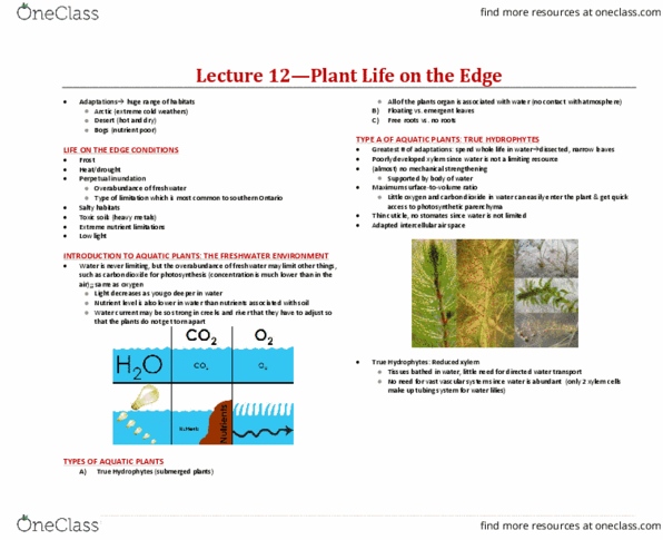 BIOA02H3 Lecture 12: BIOA02 Lecture 12 Notes - Plant Life on Edge (follows in-class slides) thumbnail