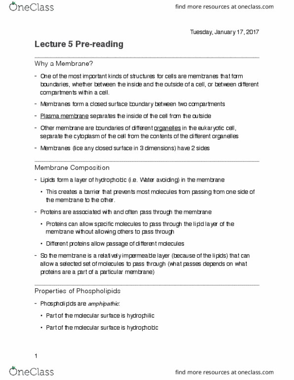 BIOL107 Lecture Notes - Lecture 3: Biological Membrane, Cell Membrane, Membrane Protein thumbnail