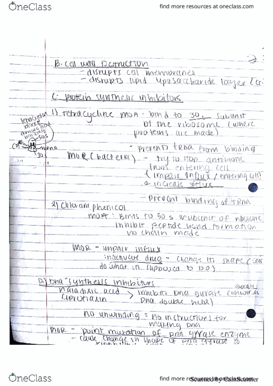 BIO 1061 Lecture 3: Kirby Bauer Method/ Bacterial Inhibitors thumbnail