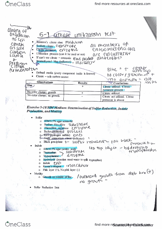 BIO 1061 Lecture 6: Citrate Utilization and Sim Tests thumbnail