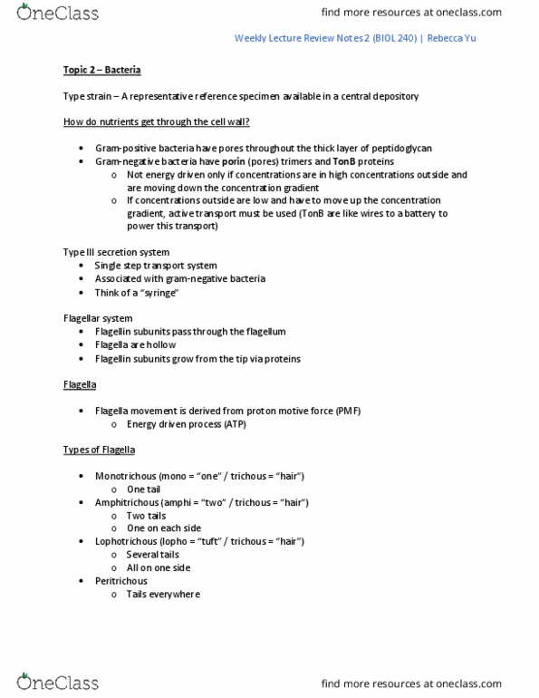 BIOL240 Lecture Notes - Lecture 2: Type Three Secretion System, Flagellin, Basal Body thumbnail