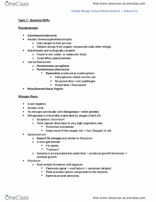 BIOL240 Lecture Notes - Lecture 8: Siderophore, Nitrogenase, Pseudomonadaceae thumbnail