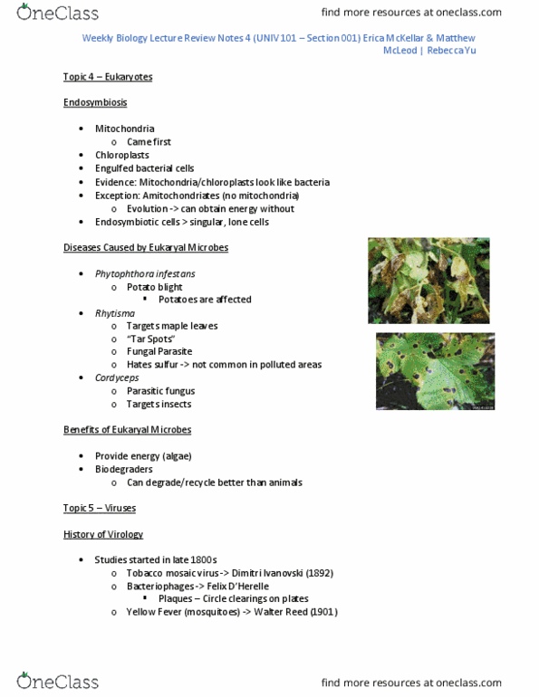BIOL240 Lecture Notes - Lecture 4: Dmitri Ivanovsky, Tobacco Mosaic Virus, Phytophthora Infestans thumbnail