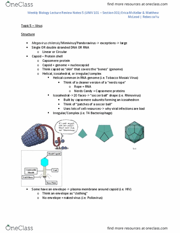 BIOL240 Lecture Notes - Lecture 5: Tobacco Mosaic Virus, Enterobacteria Phage T4, Capsomere thumbnail