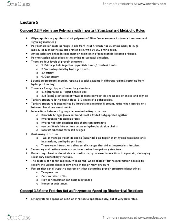 BSC 2010 Lecture Notes - Lecture 5: Peptide, Living Systems, Sucrase thumbnail