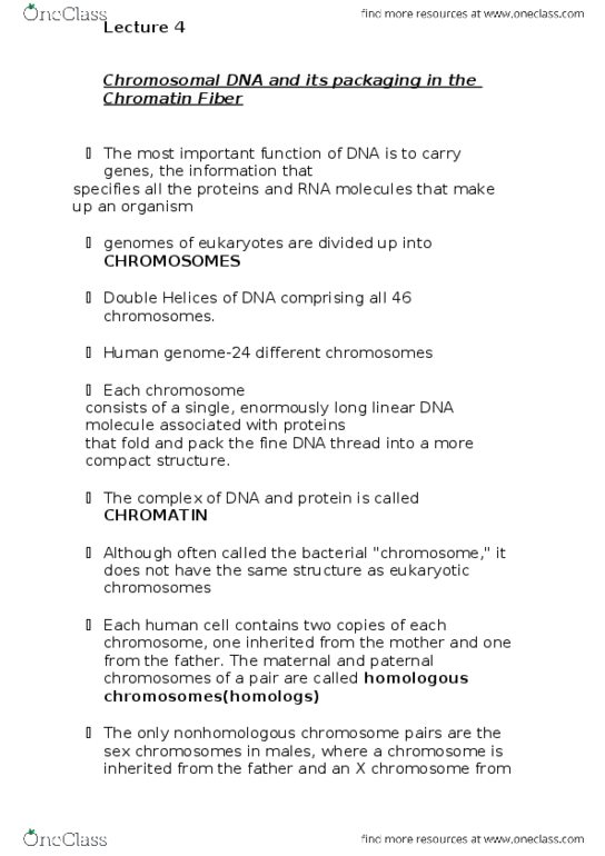 BIO130H1 Lecture Notes - Lecture 4: Chromatin, Heredity, Chromosomal Translocation thumbnail