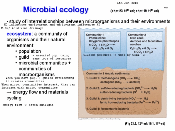 BIOL 241 Lecture Notes - Microbial Ecology, Biogeochemical Cycle, Polyphosphate thumbnail