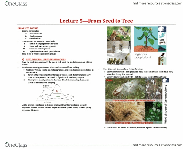 BIOA02H3 Lecture Notes - Lecture 5: Inbreeding Depression, Apical Dominance, Flowering Plant thumbnail