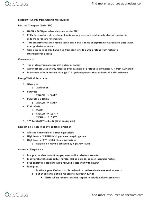 BIOL 1105 Lecture Notes - Lecture 9: Ethanol Fermentation, Pyruvate Dehydrogenase, Atp Synthase thumbnail