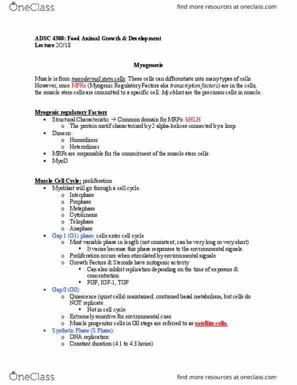 ADSC 4300 Lecture Notes - Lecture 5: Myocyte, Myogenesis, Myod thumbnail