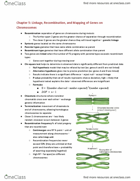 CAS BI 206 Chapter Notes - Chapter 5: Null Hypothesis, Genetic Linkage, Centimorgan thumbnail