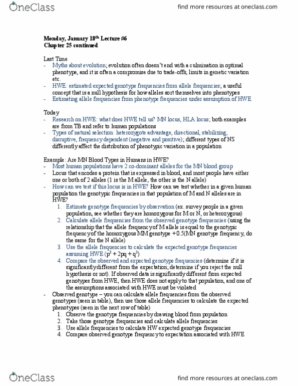BIOLOGY 1M03 Lecture Notes - Lecture 6: Mns Antigen System, Genotype Frequency, Allele Frequency thumbnail