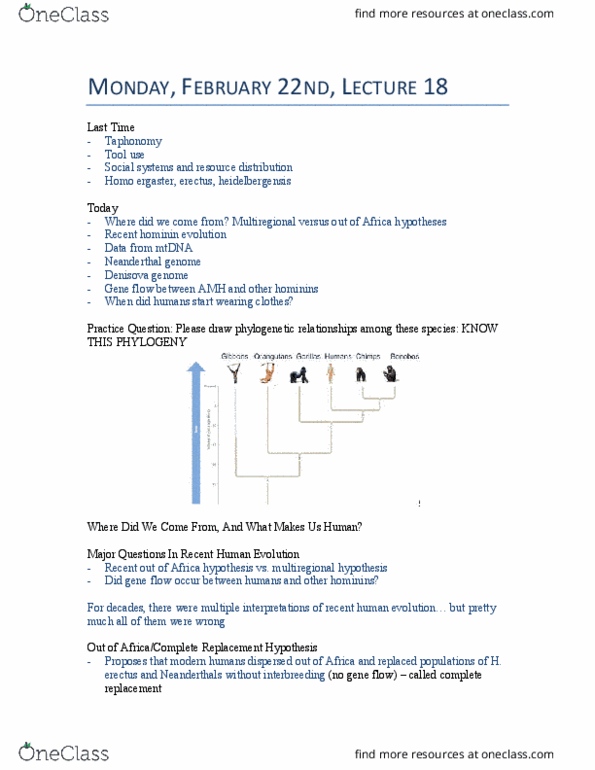 BIOLOGY 1M03 Lecture Notes - Lecture 18: Multiregional Origin Of Modern Humans, Homo Ergaster, Homo Heidelbergensis thumbnail