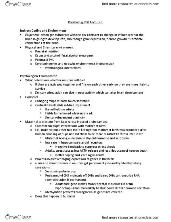 PSYCH 230 Lecture Notes - Lecture 6: Fetal Alcohol Spectrum Disorder, Ocular Dominance, Microinjection thumbnail