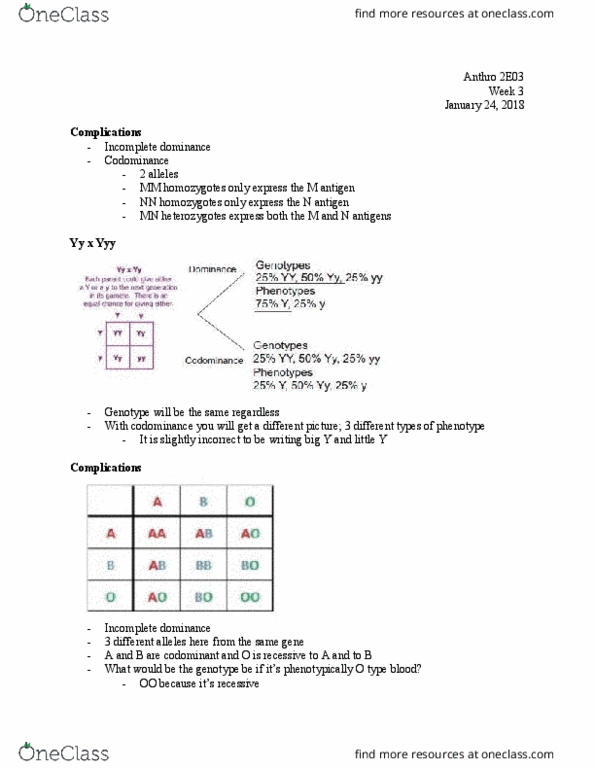 ANTHROP 2E03 Lecture Notes - Lecture 5: Abo Blood Group System, Y Chromosome, Antigen thumbnail