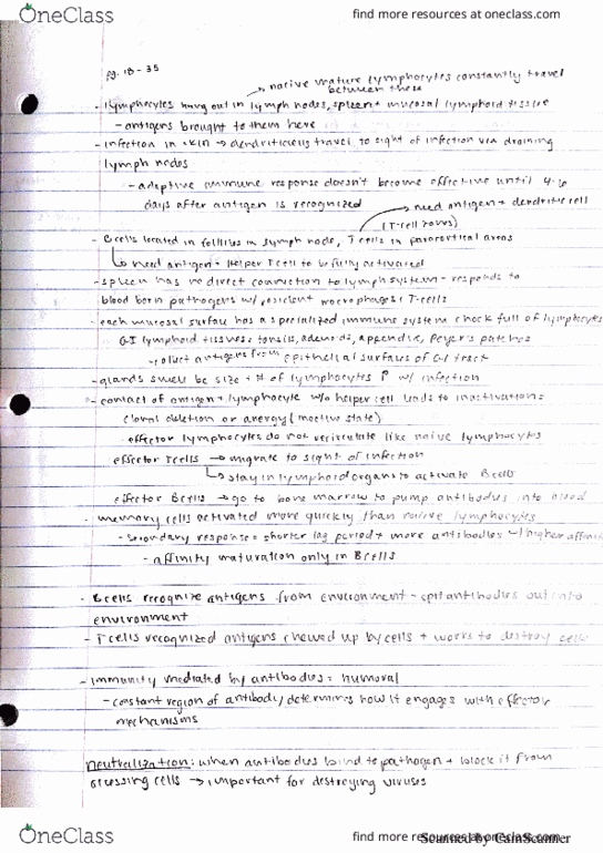 MCELLBI 150 Chapter 1 : Basic Concepts of Immunology pg 18-35 thumbnail