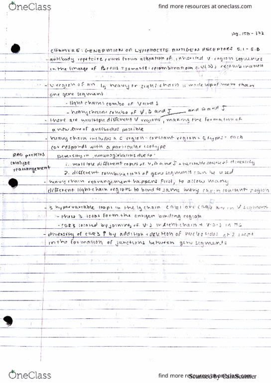 MCELLBI 150 Chapter 5: Generation of Lymphocyte Antigen Receptors pg 158-172 thumbnail