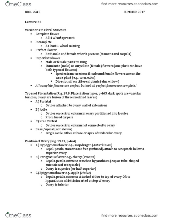 BIOL 2242 Lecture Notes - Lecture 32: Hypanthium, Antirrhinum, Prunus thumbnail