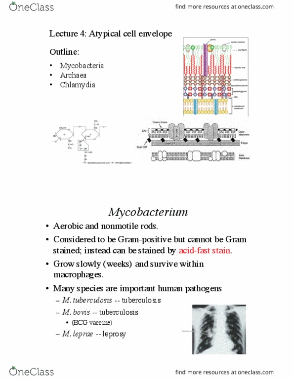 document preview image