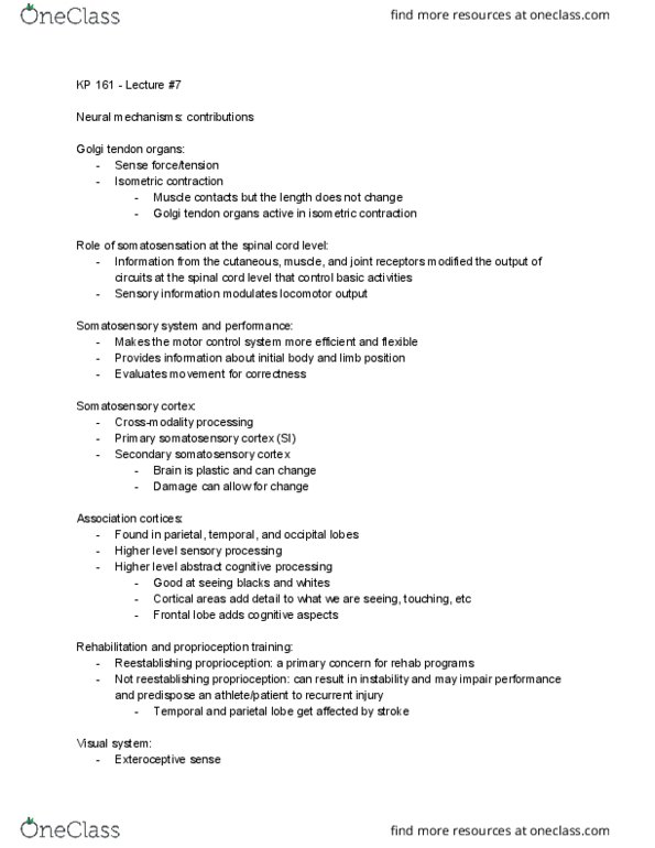 KP161 Lecture Notes - Lecture 7: Golgi Tendon Organ, Secondary Somatosensory Cortex, Postcentral Gyrus thumbnail