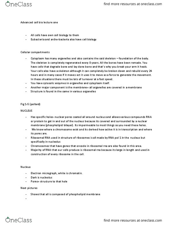 BIOL 1111 Lecture Notes - Lecture 1: Ribosomal Rna, Nuclear Pore, Lipid Bilayer thumbnail