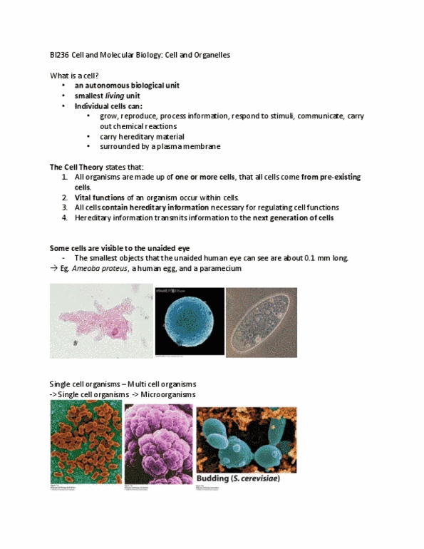 BI236 Lecture 2: BI236 Week 1 (1) thumbnail