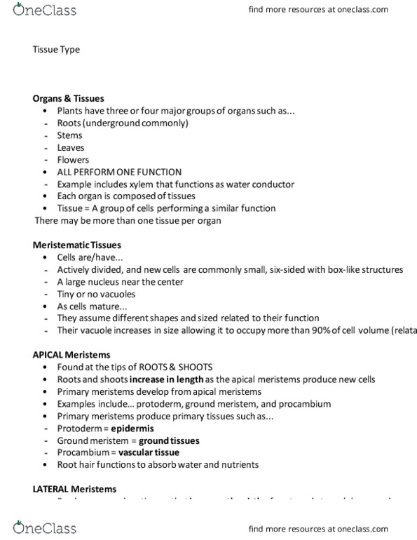 BI266 Lecture Notes - Lecture 6: Vascular Cambium, Meristem, Xylem thumbnail